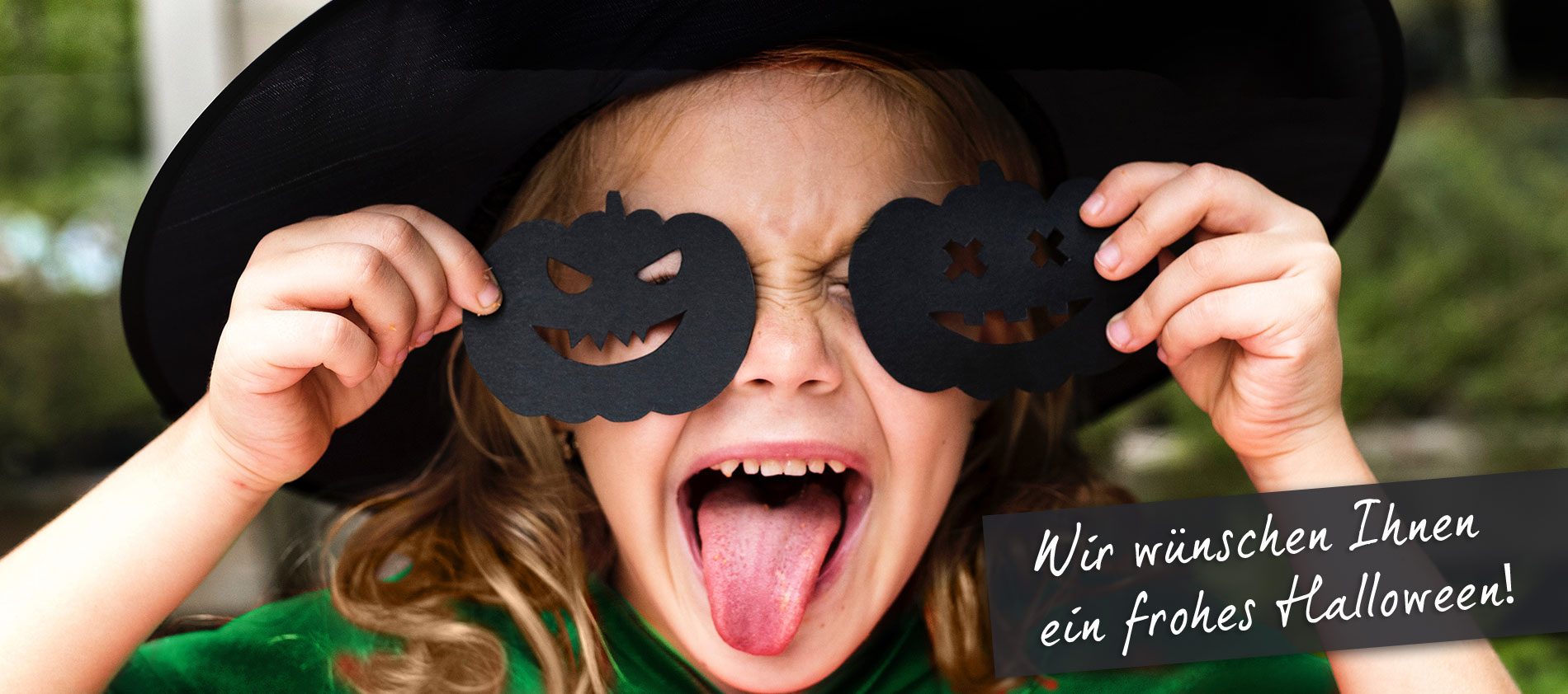 Headpic der Website von Dr. Jost Platte